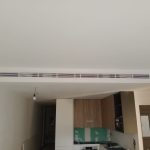 WhatsApp Image 2026-01-08 at 2.37.07 PM (3)